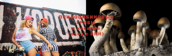 гашиш Беломорск